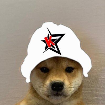 Dog with the YANKEE WITH NO BRIM! : r/dogwifhatgang