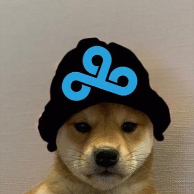 dog meme with cap｜TikTok Search