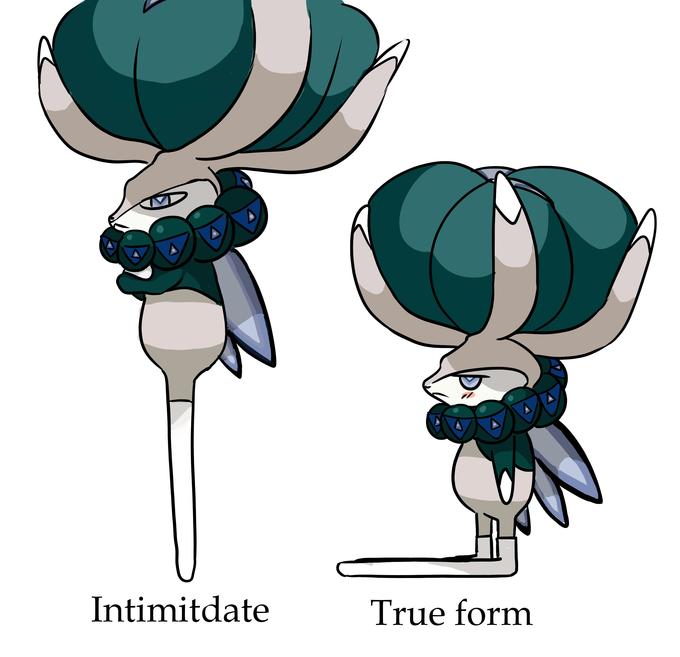 Intimitdate True form