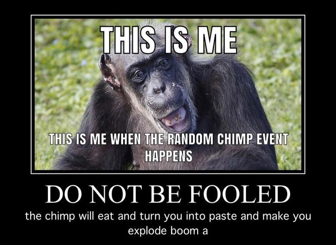 THIS IS ME THIS IS ME WHEN THE RANDOM CHIMP EVENT НАРРENS DO NOT BE FOOLED the chimp will eat and turn you into paste and make you explode boom a