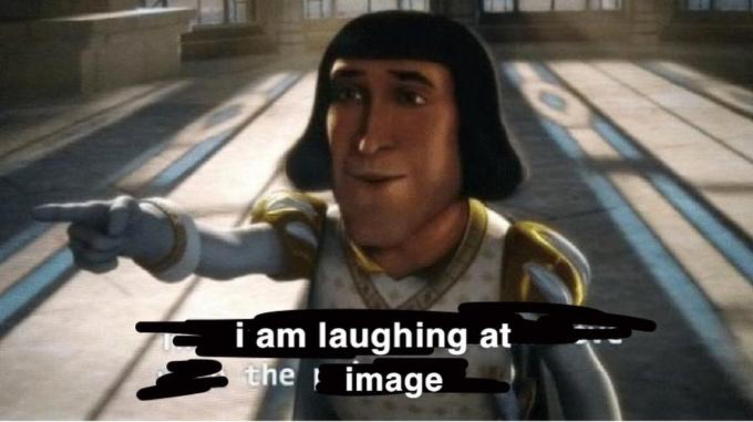 i am laughing at the image