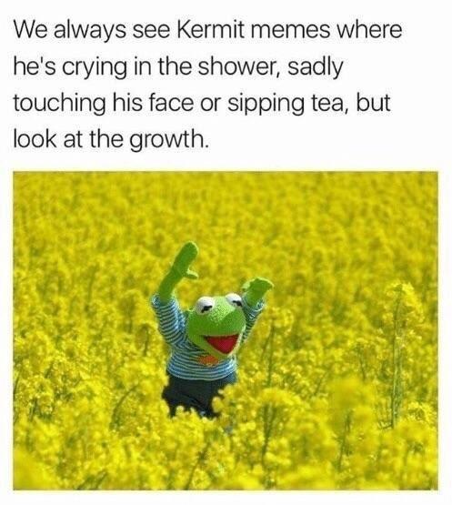 We always see Kermit memes where he's crying in the shower, sadly touching his face or sipping tea, but look at the growth.