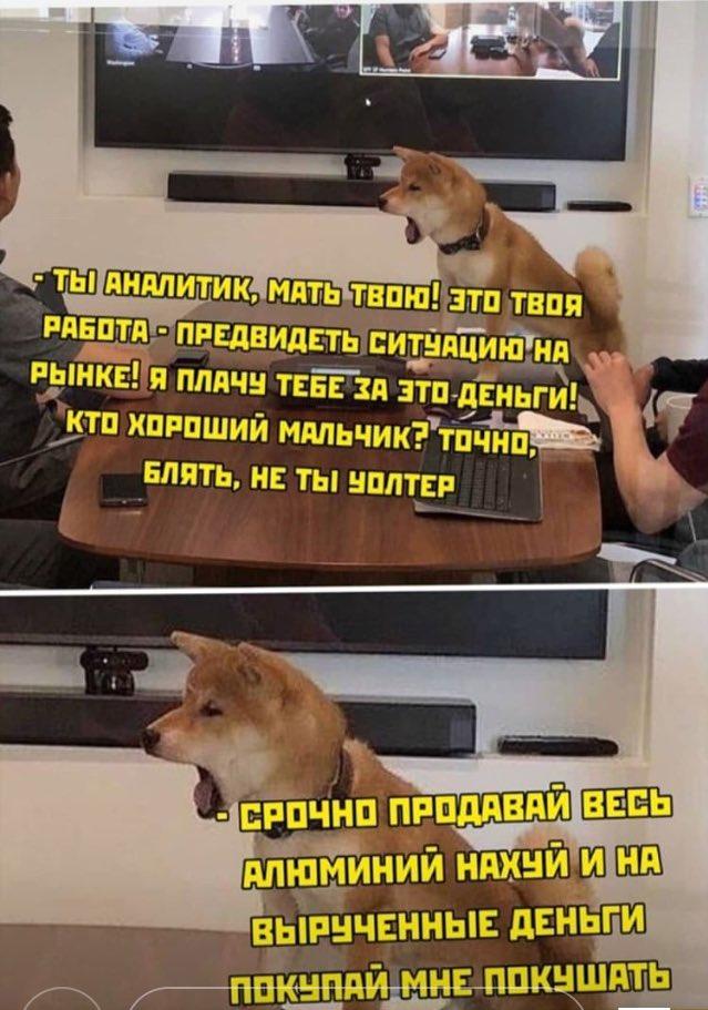 TЫ АНАЛИТИК, МАТЬ ТВОЮ! ЭТО ТВОЯ РАБОТА- ПРЕДВИДЕТЬ СИТУАЦИЮ НА РЫНКЕ! я ПЛАЧУ ТЕБЕ ЗА ЗТ-ДЕНЬГИ! кто ХОРОШИЙ МАЛЬЧИК? точНО, БЛЯТЬ, НЕ ТЫ УОЛТЕР СРОЧНО ПРОДАВАЙ ВЕСЬ АЛЮМИНИЙ НАХУЙ И НА ВЫРУЧЕННЫЕ ДЕНЬГИ ПОКУПАЙ МНЕ ПОКУШАТЬ