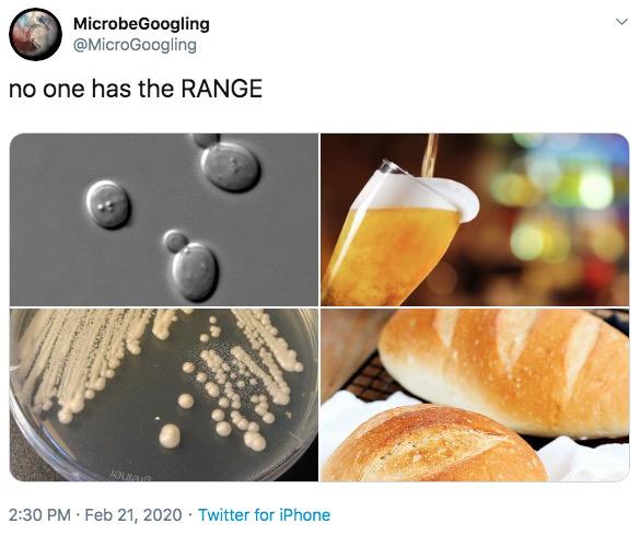 MicrobeGoogling @MicroGoogling no one has the RANGE 2:30 PM · Feb 21, 2020 · Twitter for iPhone