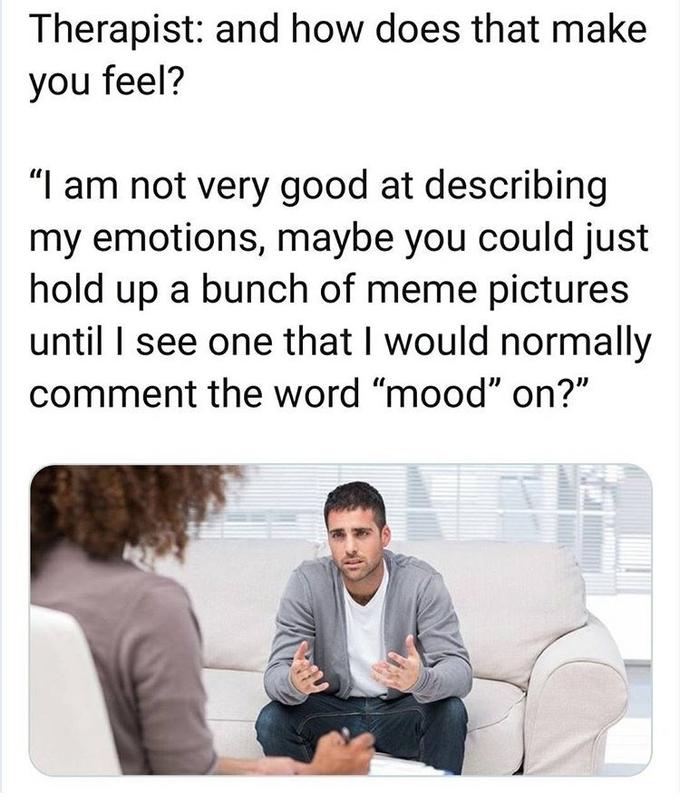 Therapist: and how does that make you feel? "I am not very good at describing my emotions, maybe you could just hold up a bunch of meme pictures until I see one that I would normally comment the word "mood" on?"