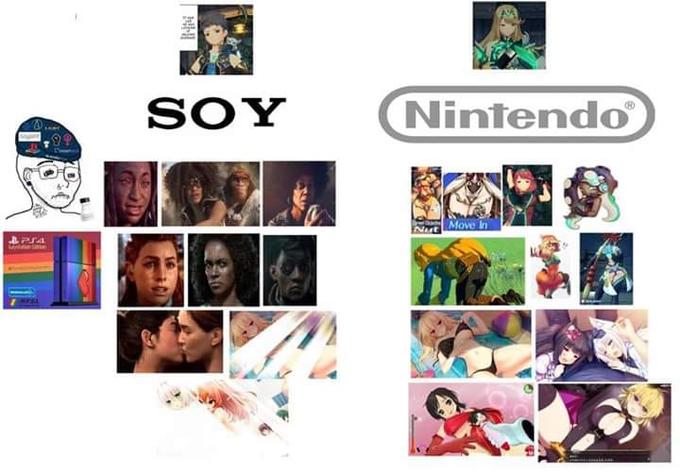 SOY Nintendo Nut Move In