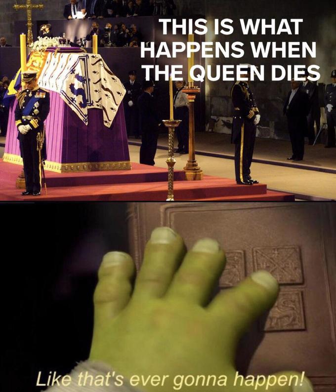 THIS IS WHAT HAPPENS WHEN THE QUEEN DIES Like that's ever gonna happen!