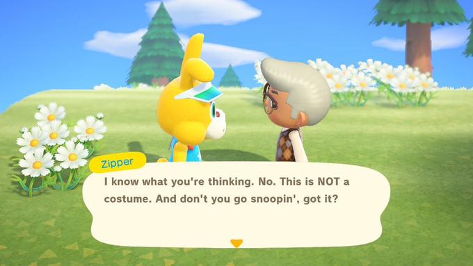 Zipper I know what you! thinking. No. This is NOT costume. And don't you go snoopin', got it?