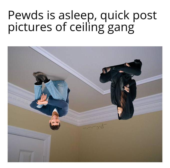 Pewds is asleep, quick post pictures of ceiling gang -p.C_.