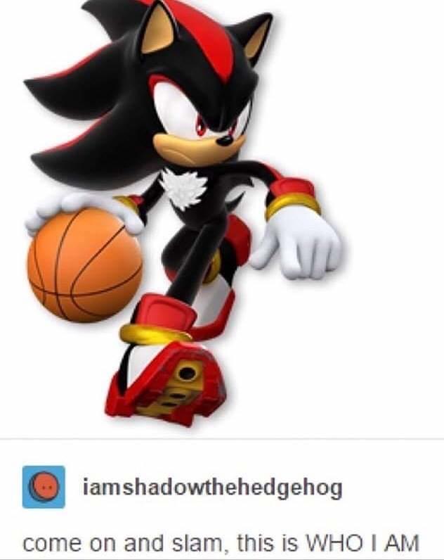 iamshadowthehedgehog come on and slam, this is WHO I AM