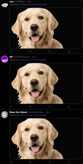 maN OMMIian - 9m A Replying to Sunkist and @LivelyTable Alf OTheAlfredosauc - 22m Replying to @Sunkist and @LivelyTable Sheer Fart Attack eSheerFarthttac - 20m Replying to Sunkist and QivelyTable