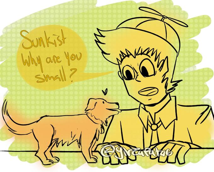 Sunkish Why are you small? Iramtto कूपेर