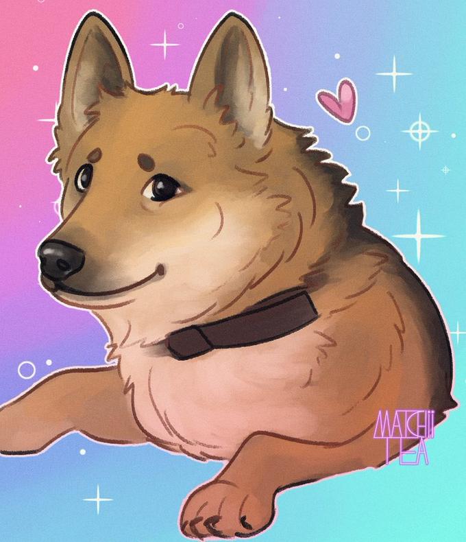 fan art of caesar doge 2