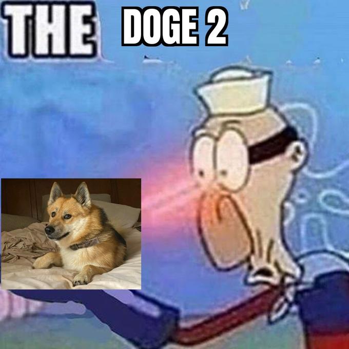 THE DOGE 2