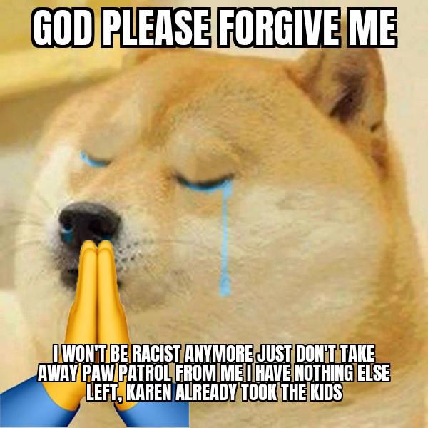 GOD PLEASE FORGIVE ME OWON'T BE RACIST ANYMORE JUST DON'T TAKE AWAY PAW PATROL FROM MEI HAVE NOTHING ELSE LEFT, KAREN ALREADY TOOK THE KIDS