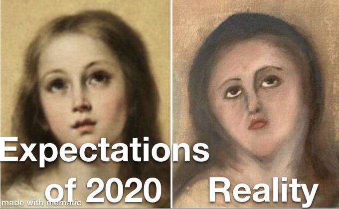 Expectations of 2020 Reality made with mematic