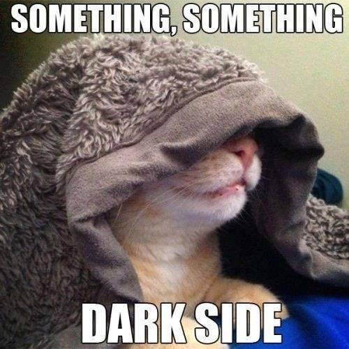 SOMETHING, SOMETHING DARK SIDE