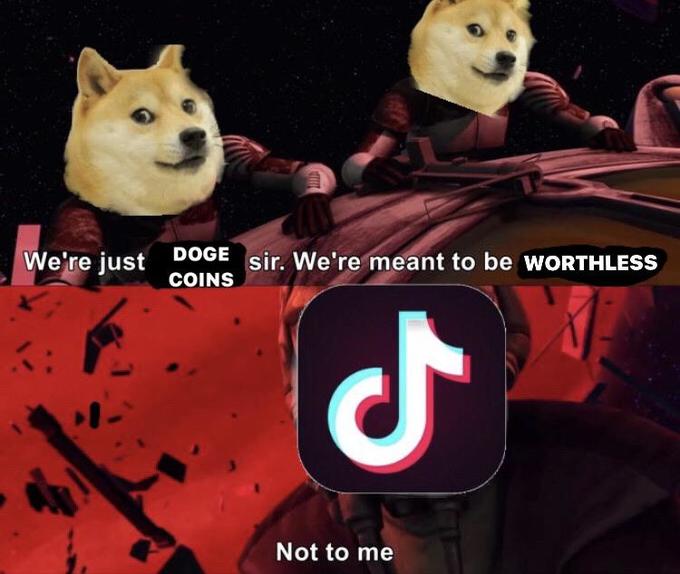 DOGE We're just sir. We're meant to be WORTHLESS COINS Not to me