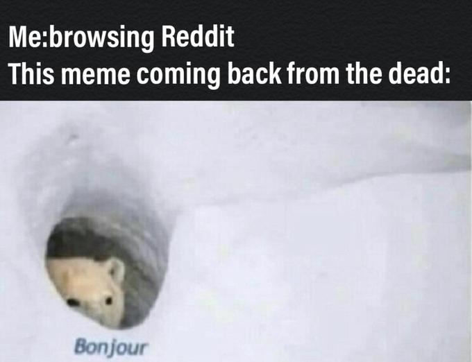 Me:browsing Reddit This meme coming back from the dead: Bonjour