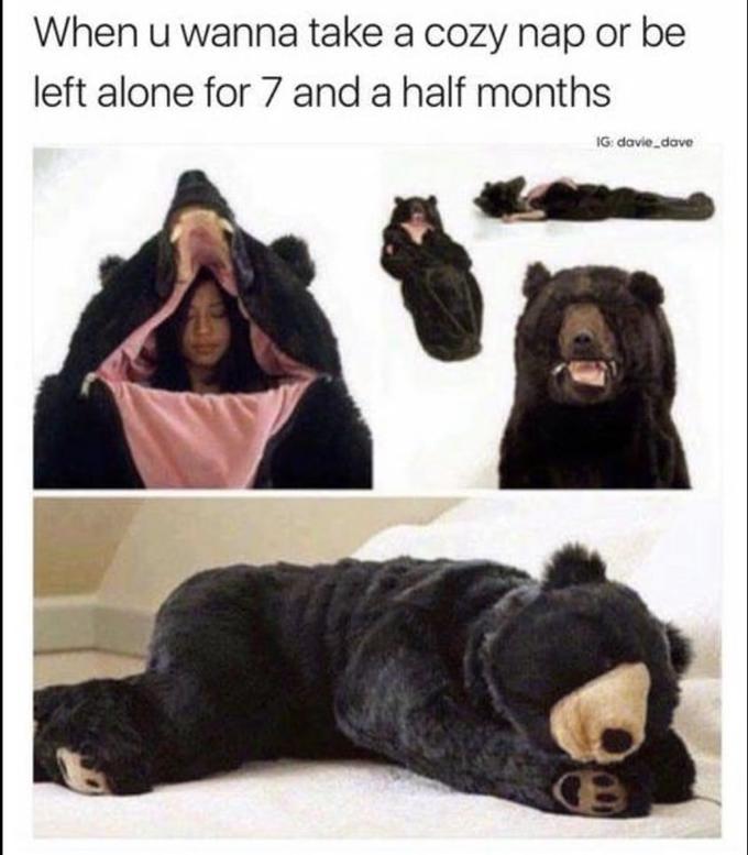 When u wanna take a cozy nap or be left alone for 7 and a half months IG: davie_dave