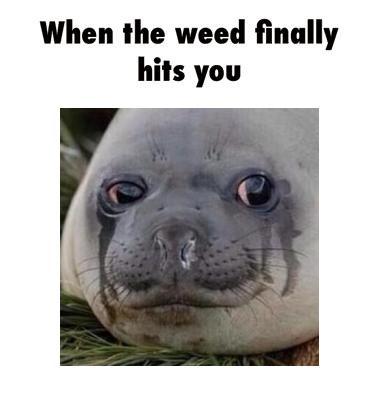 When the weed finally hits you