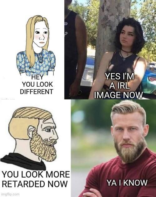 True. Chad face is allways right : r/meme