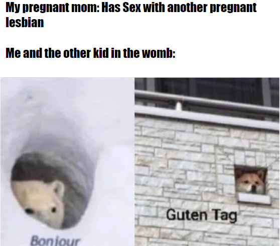 My pregnant mom: Has Sex with another pregnant lesbian Me and the other kid in the womb: Guten Tag Bonjour