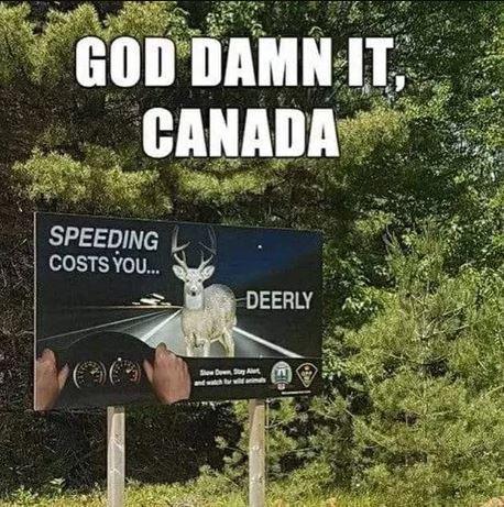 GOD DAMN IT, CANADA SPEEDING COSTS YOU. DEERLY Se Den y A