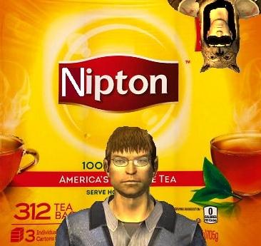 Nipton 100 AMERICA'S E TEA SERVE HO 312 TEA BA 3ndividu Cartons