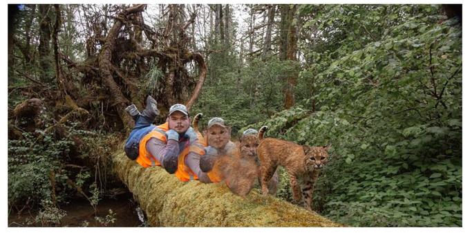 Original
"Thankful to this unknown man for striking a pose and for not messing with my camera set up after he stumbled upon it. Also added, a bobcat using the log just a couple weeks prior.":https://twitter.com/burningxjeff/status/1290349341777915906
!https://pbs.twimg.com/media/Eeg92XeUMAMwrZa?format=jpg&name=large!:https://twitter.com/burningxjeff/status/1290349341777915906