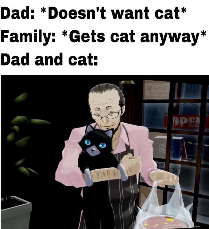 Dad: *Doesn't want cat* Family: *Gets cat anyway* Dad and cat: DPEN