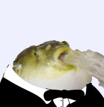 He spit | He Cute | Know Your Meme