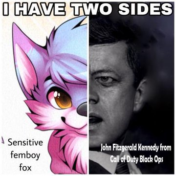 O HAVE TWO SIDES I Sensitive femboy John Fitzgerald Kennedy from Call of Duty Black Ops fox