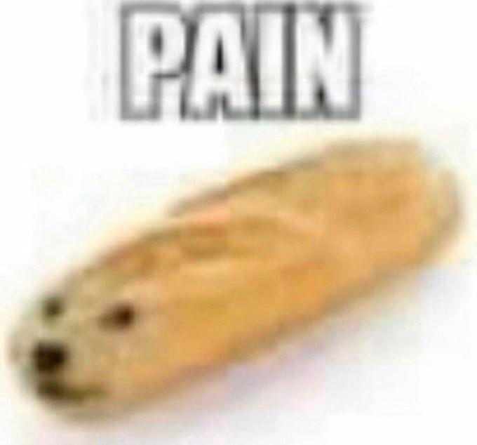 Doge Bread Pain Pain / How Do You Manage Pain? Know Your Meme