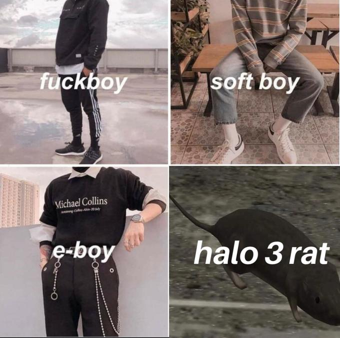 f------ soft boy Michael Collins e-boy halo 3 rat