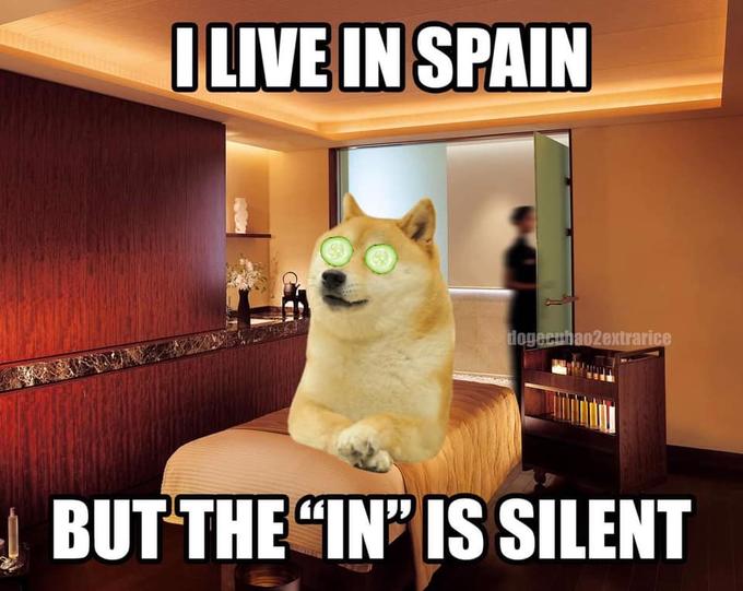 ILIVE IN SPAIN dogecuhao2extrarice | BUT THE "IN IS SILENT