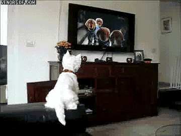 GIF of excited dog seeing his favorite scene in space buddies