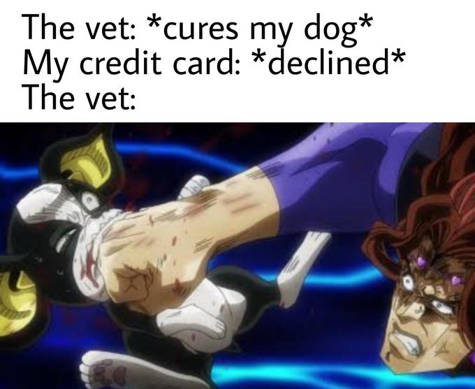 The vet: *cures dog* My credit card: *declined* The vet: my Dio Brando Cartoon Anime Animated cartoon