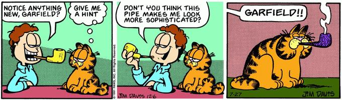 NOTICE ANYTHING NEW, GARFIELD? GIVE ME A HINT DON'T YOU THINK THIS PIPE MAKES ME LOOK MORE SOPHISTICATED? GARFIELD!! RM DAVOS 12-6 7-27 JRM DAV?S 1991 PAWS, INC. All Rights Reserved.