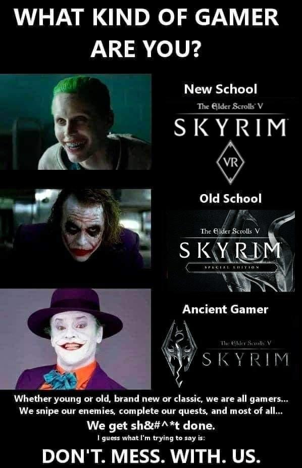 WHAT KIND OF GAMER ARE YOU? New School The Elder Scrolls V SKYRIM (VR Old School The Glder Scrolls V SKYRIM SPECLAL 1. 11ITION Ancient Gamer The Glder Scolis V SKYRIM Whether young or old, brand new or classic, we are all gamers. We snipe our enemies, complete our quests, and most of all.. We get sh&#^*t done. I guess what I'm trying to say is: DON'T. MESS. WITH. US.