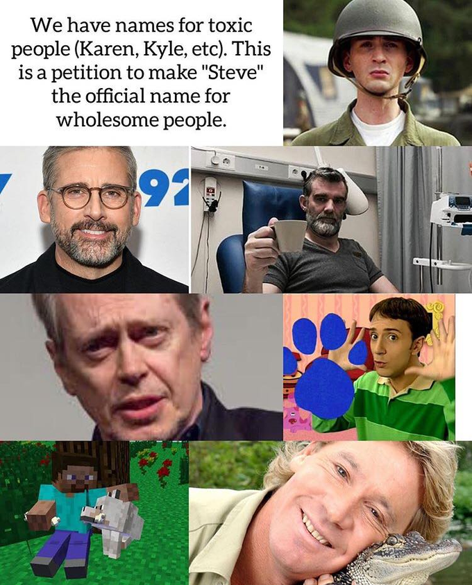 We have names for toxic people (Karen, Kyle, etc). This is a petition to make "Steve" the official name for wholesome people. 92