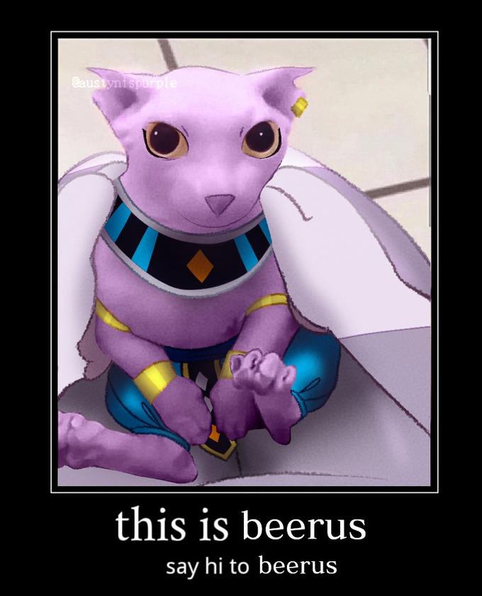 @austynispurple this is beerus say hi to beerus