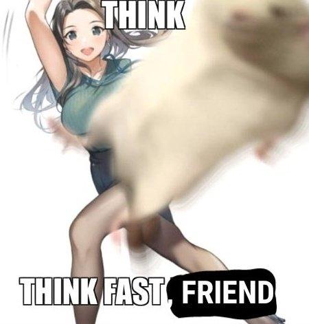 THINK THINK FAST, FRIEND