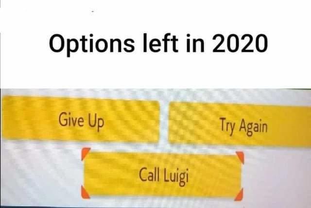 Options left in 2020 Give Up Try Again Call Luigi