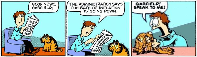 GOOD NEWS, GARFIELD! THE ADMINISTRATION SAYS THE RATE OF INFLATION IS GOING DOWN. GARFIELD! SPEAK TO ME! Cartoon Comics Comic book Fiction