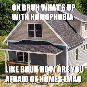 OK BRUH WHAT'S UP WITH HOMOPHOBIA LIKE BRUH HOW ARE YOU AFRAID OF HOMES LMAO