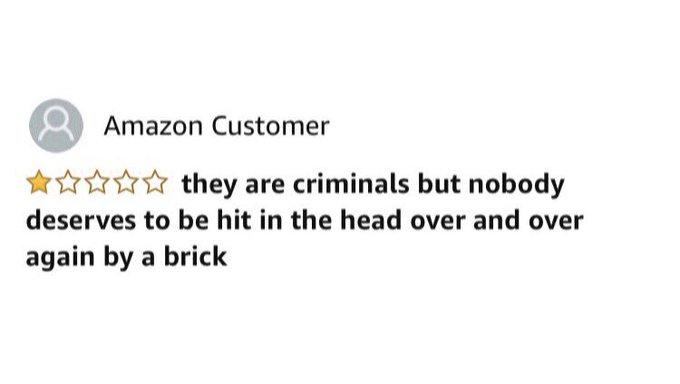 Amazon Customer * * they are criminals but nobody deserves to be hit in the head over and over again by a brick