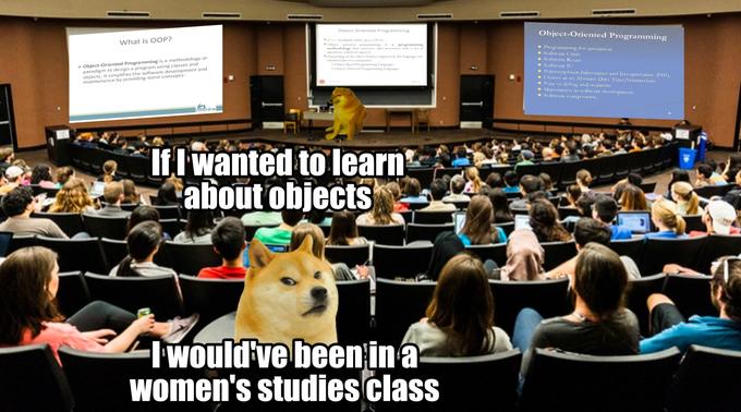 Doge takes a computer science course | Ironic Doge Memes | Know Your Meme