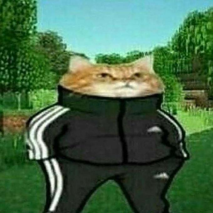 Slav Cat / Slav Cheebs