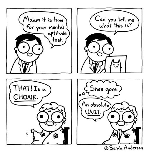 Ma'am it is time Can tell me you what this is? for mental your aptitude test. THAT! Is a CHONK. She's gone. An absolute UNIT. © Sarah Andersen